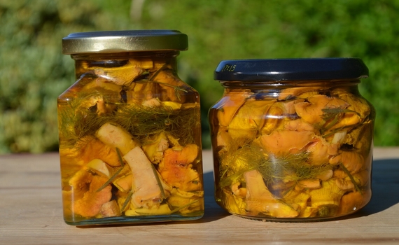 recipe marinated chanterelles mushroom